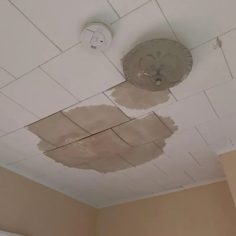 Ceiling Water Damage Repair in Edgewood, TX
