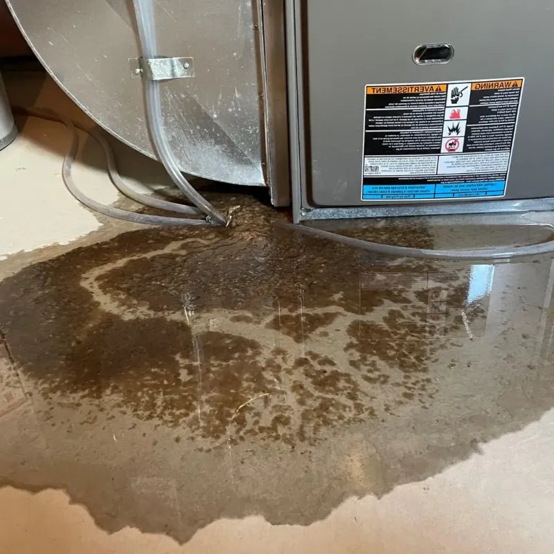 Pipe Burst and Leak Restoration in Edgewood, TX
