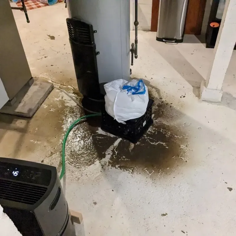 Sewage Backup Cleanup Service in Edgewood, TX